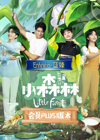 奇妙小森林 会员Plus版