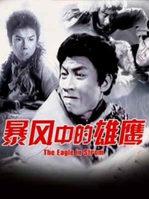 暴风中的雄鹰