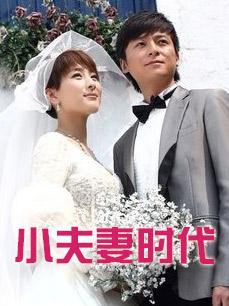 小夫妻时代DVD版