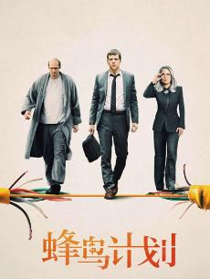 蜂鸟计划 普通话版
