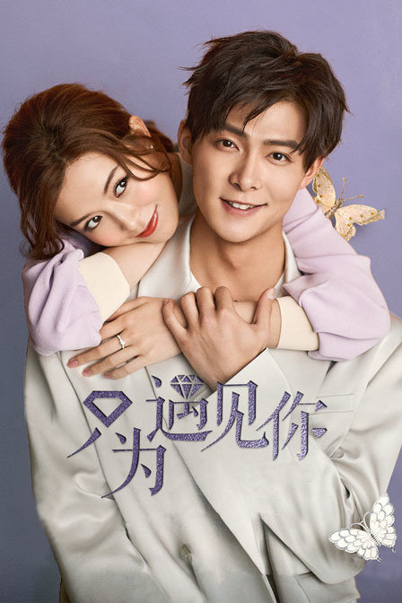 只为遇见你 DVD版