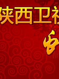 陕西卫视2013春晚