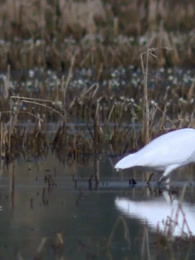 水世界精彩内容