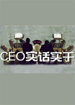 CEO实话实干 2010