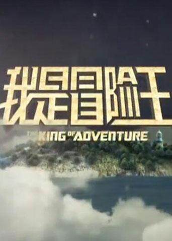 我是冒险王 2012