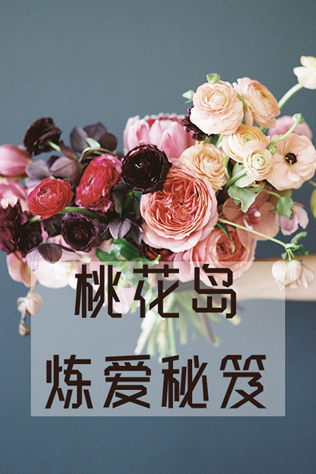 桃花岛炼爱秘笈 第一季