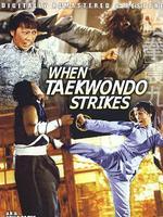 跆拳震九州中文版