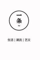 一条视频2016