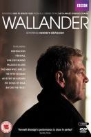 神探维兰德第四季