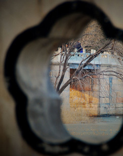 三千花窗的安家路