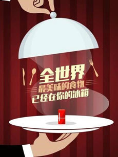 拜托了冰箱中国版第一季