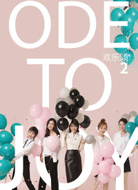 欢乐颂 第二季（卫视版）