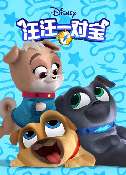 汪汪一对宝第二季