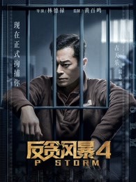 反贪风暴4粤语