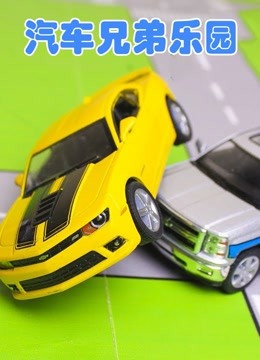 汽车兄弟乐园