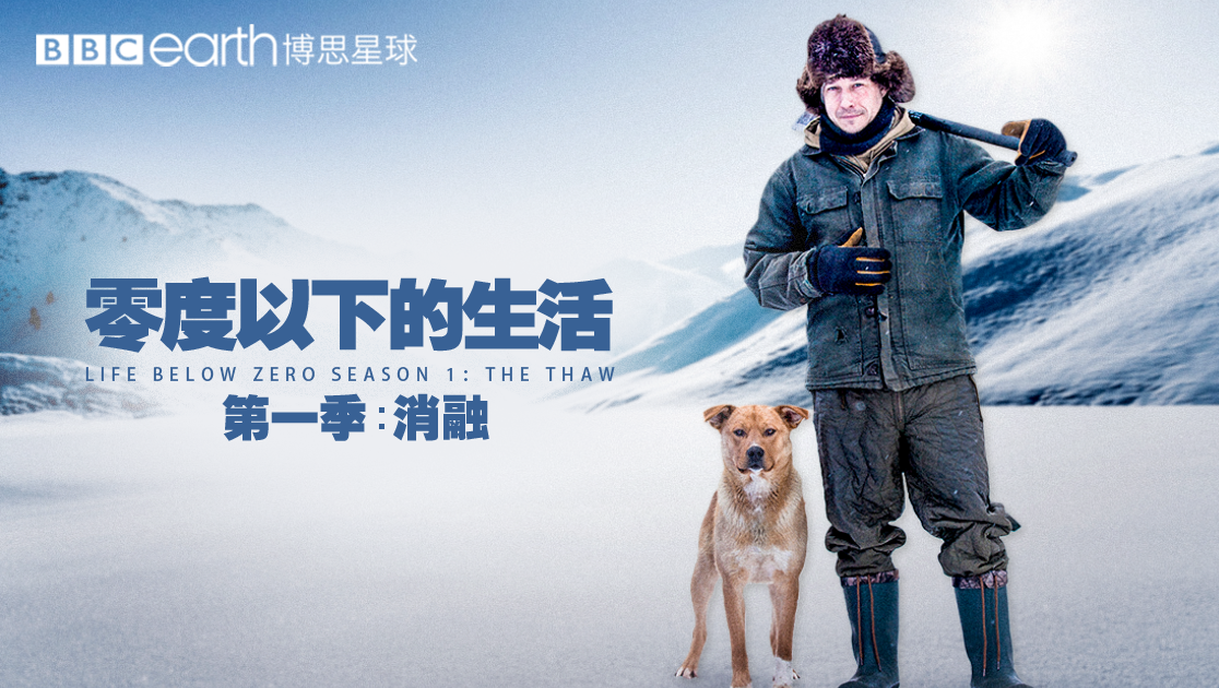 零度以下的生活第一季：消融