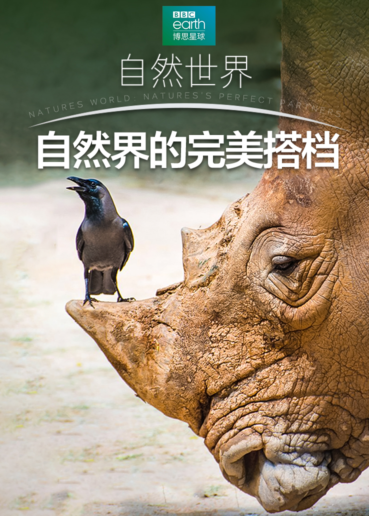 自然界中的完美搭档