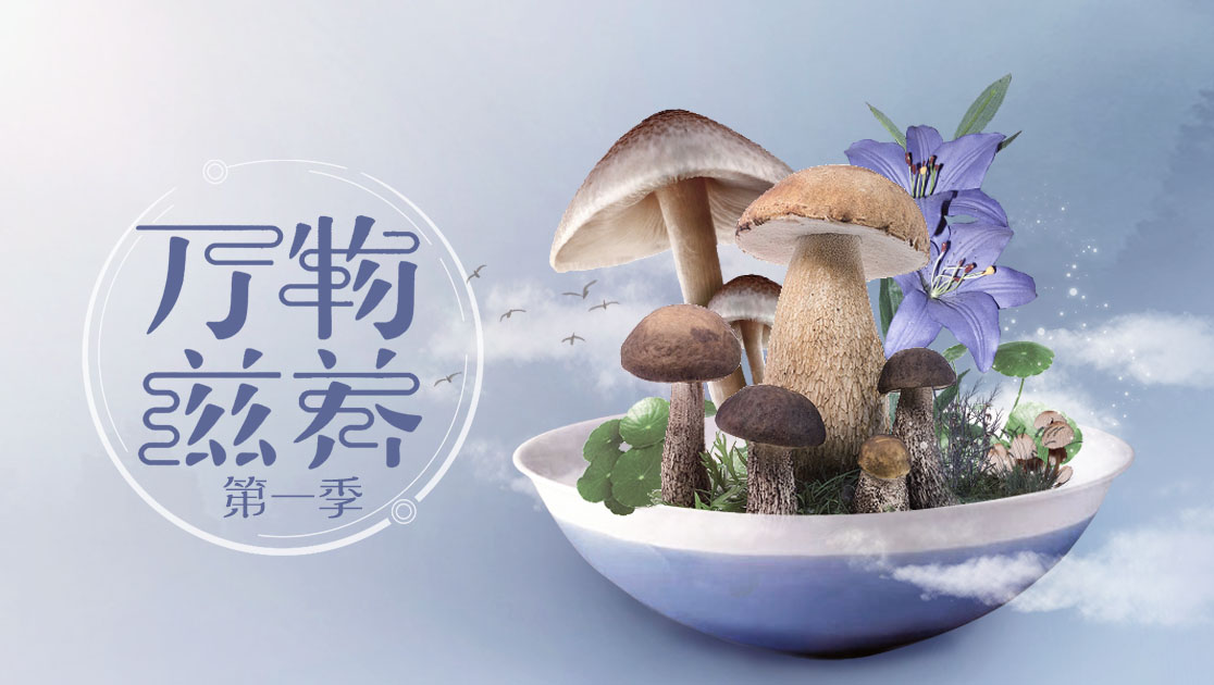 万物滋养第一季